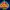 Royal Crown Fruits