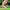 Stoichkov #8 Crash Edition